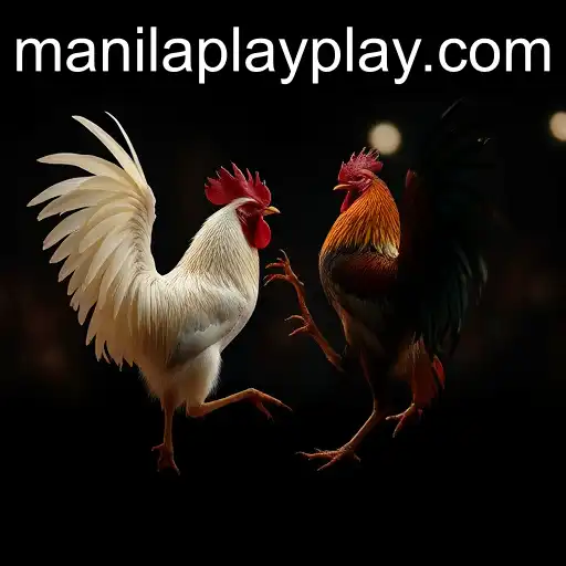 Exploring the Rise of Online Sabong: ManilaPlay's Role in the Cockfighting Scene